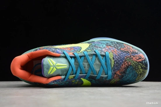 Star 6  Nike Kobe (All MVP) Prelude 640220-001 0207